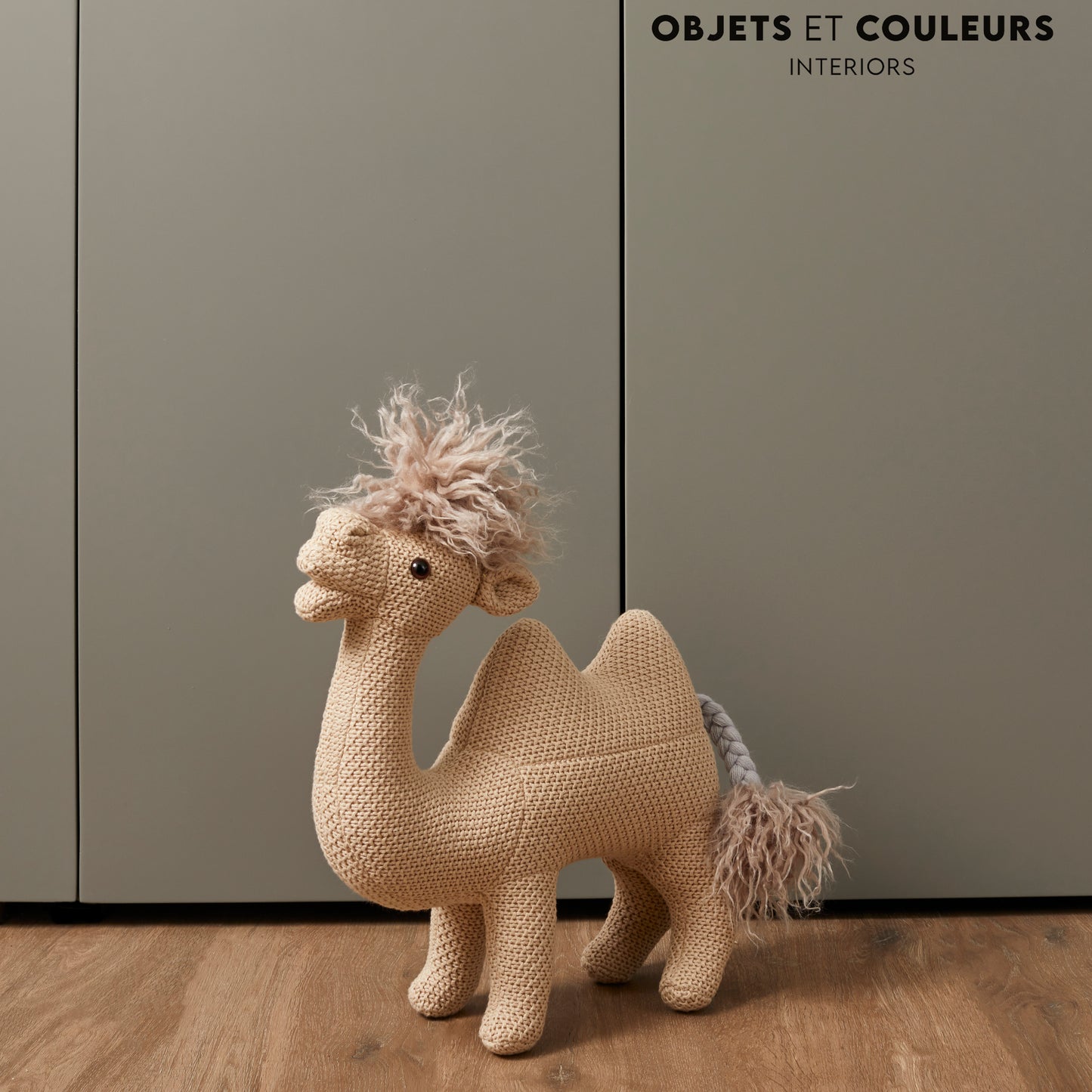 Sandy Camel