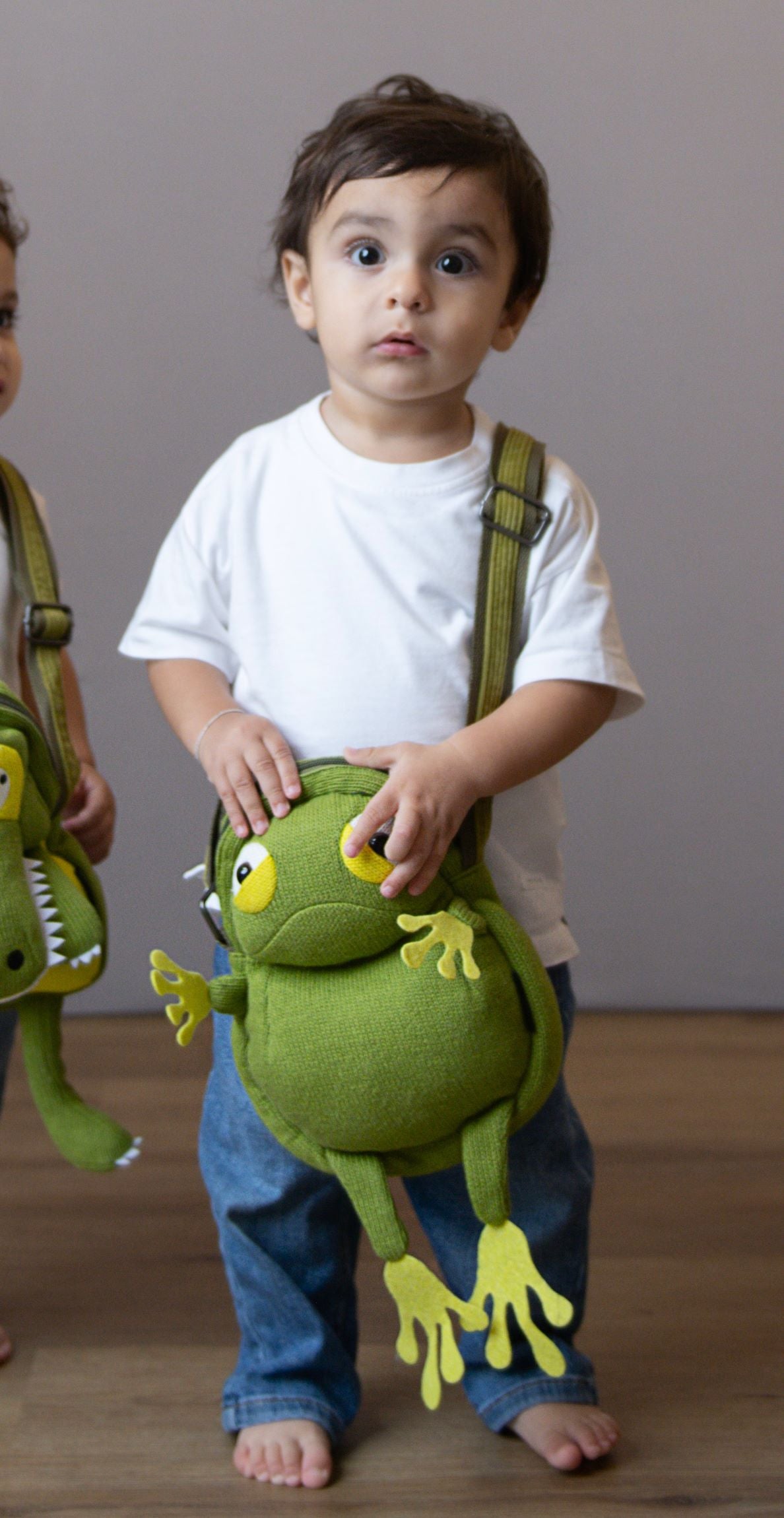 Stylish Frog Cross bag